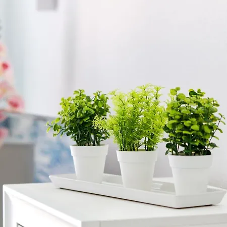 Eunice Apartamento Orihuela