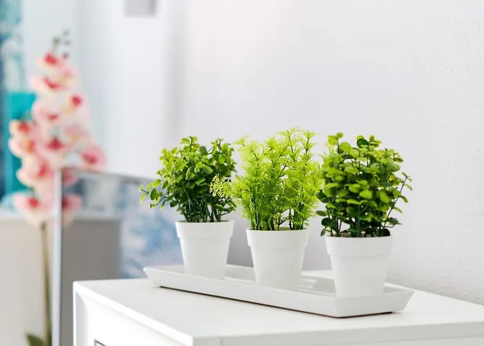 Eunice Apartman Orihuela